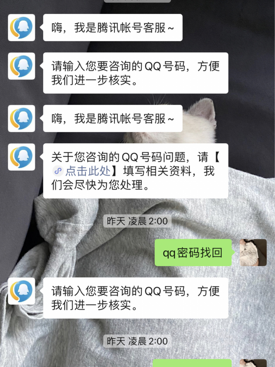 手机qq稳定版手机版下载官网-第2张图片-太平洋在线下载